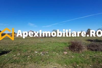 Corbeanca - Tamasi | Teren 1225mp, deschidere 44ml | Utilitati la 50m - 13