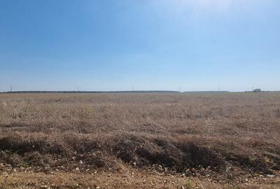 Oportunitate de investitie | Teren intravilan de vanzare | 10.000 mp - 9