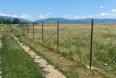 Teren  intravilan cu PUZ 30.000 mp Prejmer - 4