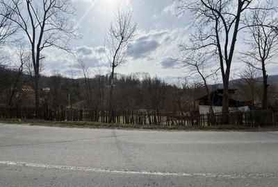 Teren intravilan la asfalt 2100 mp deschidere 21 mp la asfalt! - 5