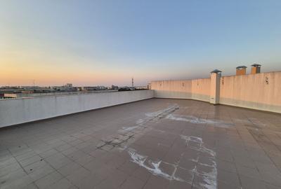 Penthouse 104,97 mp + 192,81 mp terase - piata Sudului - 14
