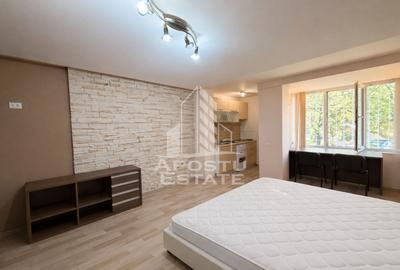 Apartament cu 1 camera de inchiriat, zona Take Ionescu, Timisoara - 2