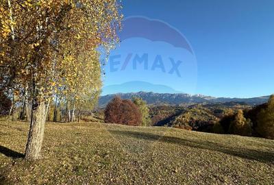 Oportunitate de investiție ! Teren de vis în Pestera - 125.370 mp - 1