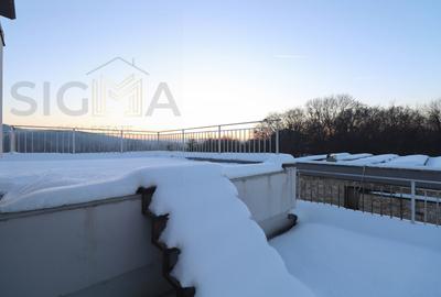 Casa individuala moderna de inchiriat in Faget! - 7