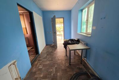 Petricani, strada Steaua Rosie, Lacul Plumbuita, 600 mp, toate utilitatile - 11