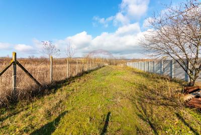 Casă finalizată, 278 mp teren 2305 mp Pleașa, Bucov, Ploiesti - 31