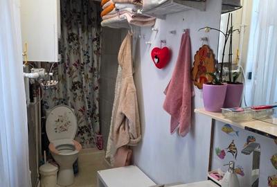 Iancului, Ferdinand, 5 minute metrou, chiar pe Titu Maiorescu, - 14