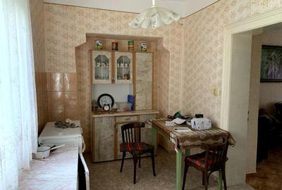 Casa individuala în Otelec - 3.313 mp teren - 2 fronturi stradale - 17