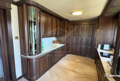 Vila superba in Andrei Muresanu, dotari de lux, piscina si SPA, 865 mp teren ! - 23