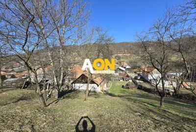 Casa de Vacanta 2 Camere, Strada Morilor Zlatna - 12