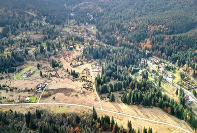 Poiana lui Manole - teren Intravilan - 27