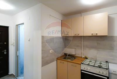 Garsoniera de inchiriat in zona centrala, etaj 2. Renovată de curând. - 2