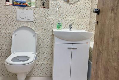 Vanzare Apartament 3 camere Renovat Gorjului - 10