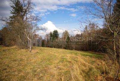 Teren intravilan, cu PUZ, Bran Tohanita,  SE ACCEPTĂ ȘI SCHIMB - 17