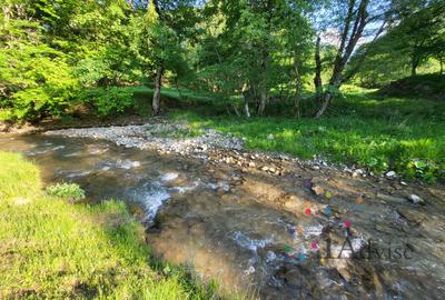 Teren in muntii Ciucas– Locație de Vis cu PUZ Aprobat - 5