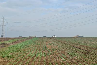 Teren construibil  extravilan , 37000 mp -com Vidra / iesire Berceni, Ilfov - 1