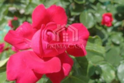 Apartament cu 3 camere zona Pod etaj 2 din 4 confort 1 cu imbunatatiri - 9