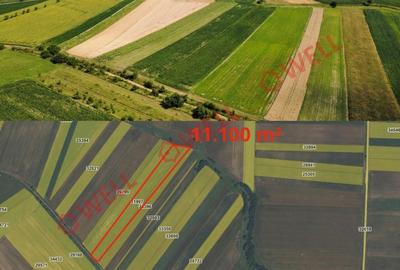 De vânzare 8 parcele de teren extravilan în apropierea localității Măgheruș! - 5