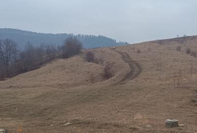 Teren intravilan, zona Darmanesti - Balaur