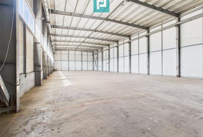 Hală industrială cu pod rulant de 3 tone în Arad - 9