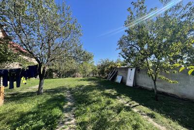 Casă de vânzare în inima Cetății | 4 camere | 160mp utili | 730mp supraf totala - 12