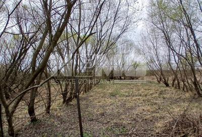 Teren De Vânzare I Suceava I 48.000 euro - 11