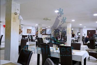 Afacere la cheie cu venituri multiple – hală, parcare TIR, restaurant, jud Bihor - 4
