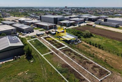 HALA INDUSTRIALA NOUA 550 MP - Sos Centura | MAGURELE – ILFOV | - 11