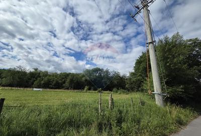 Teren de vanzare  Intravilan 19.341 mp – Cheile Râșnoavei, Parcelabil - 2