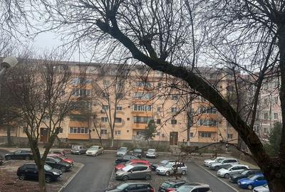 Apartament 3 camere, 2 bai,2 balcoane. bloc izolat, Etaj 2. Lipovei - 19