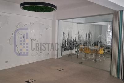 Vila P+2, suprafata 380 mp, Principatele Unite, Piata Unirii - 51