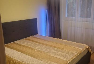 Închiriere 2 camere langa parc, zona linistita, luminos, mobilat complet - 3