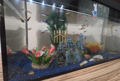 Apartament stil cald si familial - 2
