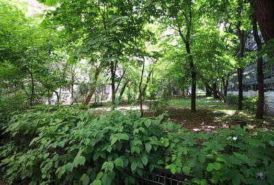 Brâncoveanu - Olteniței, 2 camere decomandat, reabilitat - 19