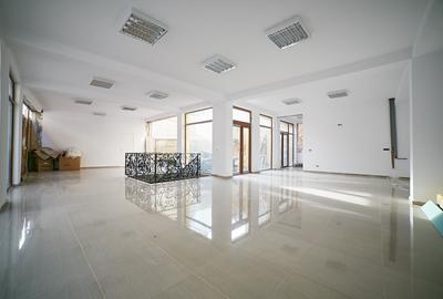 Spațiu comercial, 250 mp în Ultracentral