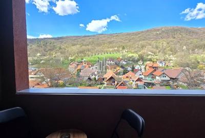 Apartament 39.6 Mp, Maurer, Sighisoara - 10