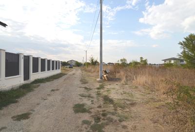 Teren Intravilan Dragomiresti -Deal | Localizare Excelenta - 7
