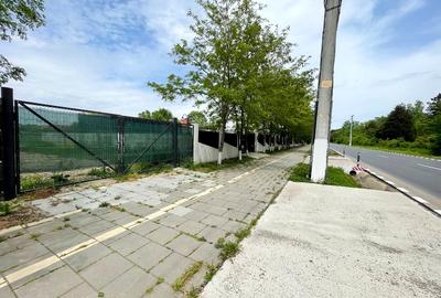 Snagov /Terenuri Parcelate langa Padure cu Utilitati/  Canalizare/ 500-2500 Mp - 7