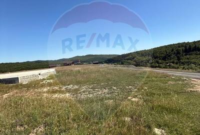 Teren 3,757mp Paltinoasa / Strada principala - 14