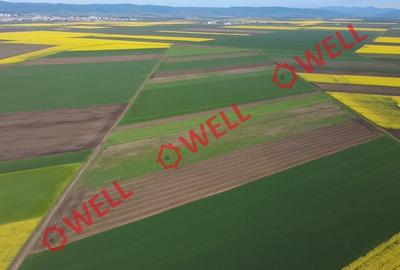 5 terenuri agricole de vânzare în Sântionlunca! - 5