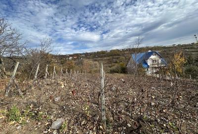 Teren Construcții intravilan de 766 mp, în Păcurari