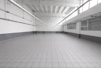 Spațiu industrial, în B-dul București