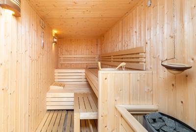 Historical villa Gradina Icoanei area - 9