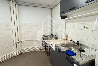 Apartament 3 camere, pet-friendly, de inchiriat, Dambovita, Timisoara - 5