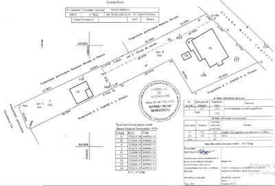 Proprietar - De vânzare Vilă - Casă vacanță  în Breaza - Str. Miron Căproiu - 3