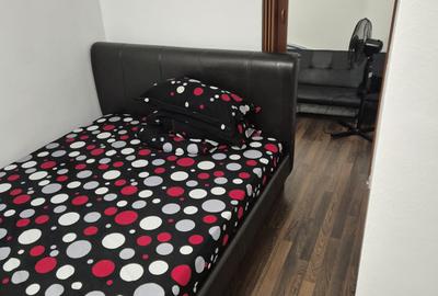VITAN-APARTAMENT MOBILAT 50 MP-LANGA PARCUL TEILOR - 6