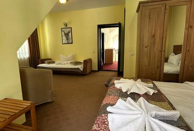 Pensiunea Turistica Cheile Cetatii - Rasnov - 730.000 euro - 11