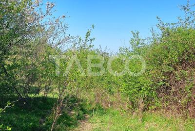 Teren intravilan 4280 mp acces la drum si utilitati zona deosebita - 5