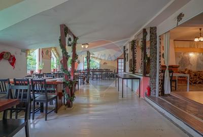 COMPLEX HOTELIER POTENTIAL EXTINDERE | PREDEAL CIOPLEA | 2734 MP TEREN - 8