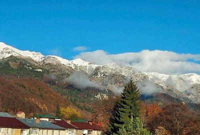 Studio Sinaia cu vedere spre munte - 1
